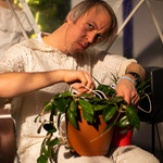 Fern Orchestra (111/234)